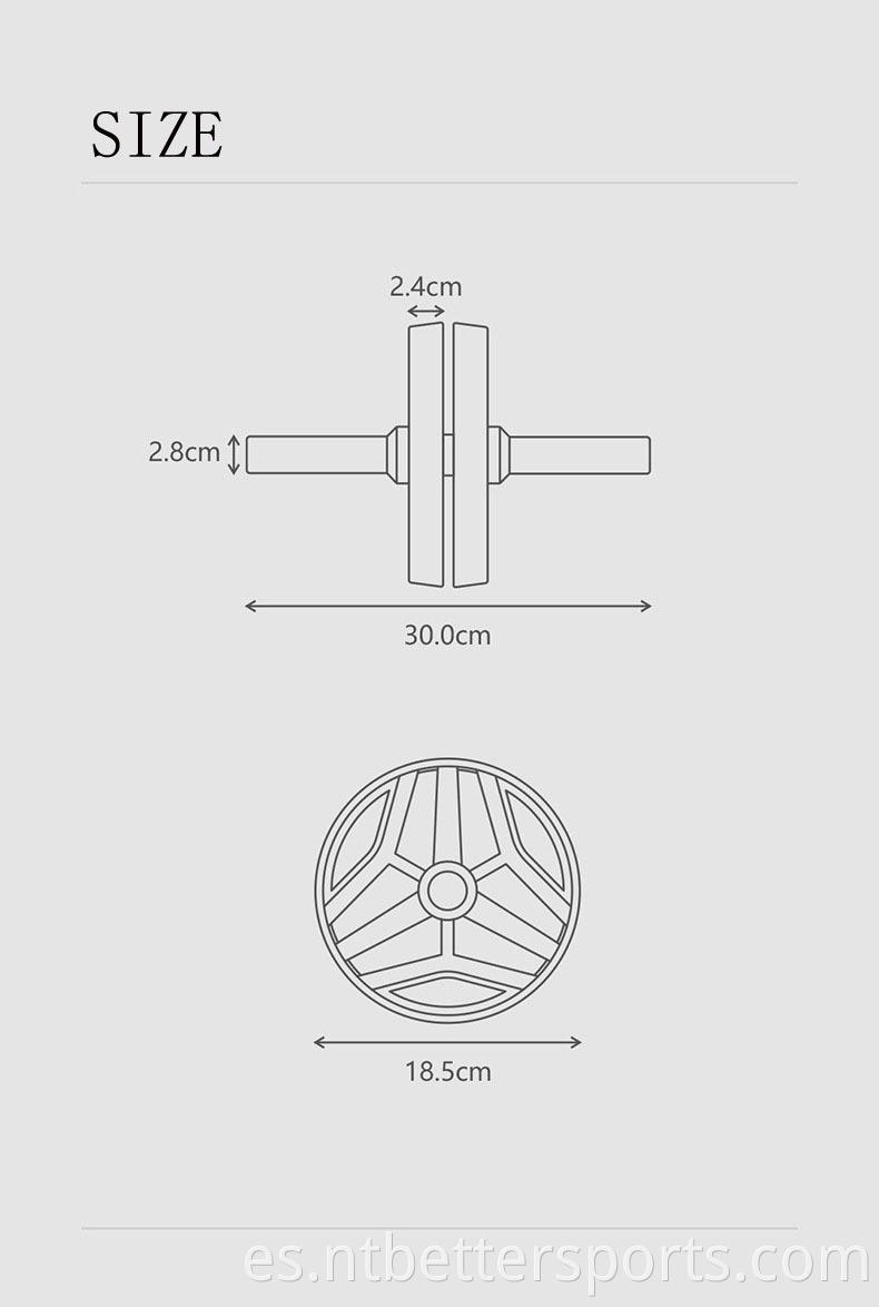 ab wheel